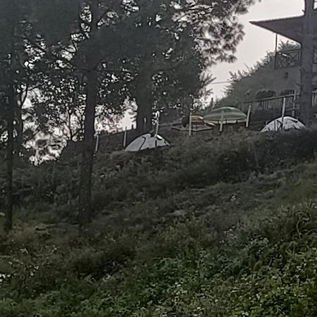 Nainital Adventure Park & Resort 외부 사진