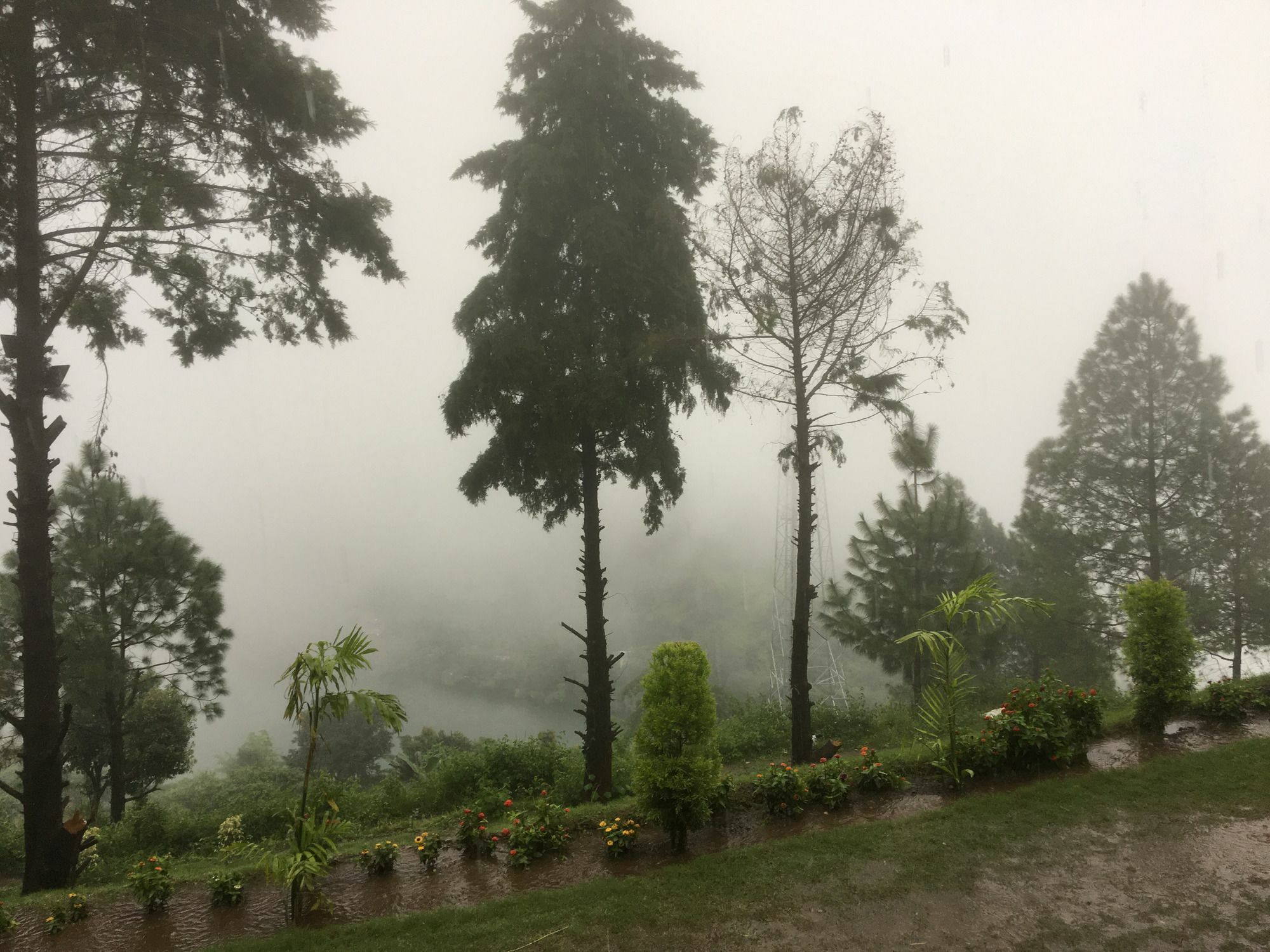 Nainital Adventure Park & Resort 외부 사진